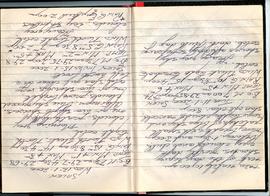 Journal pages 8-9 image