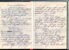 Journal pages 4-5 image