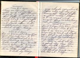 Journal pages 2-3 image